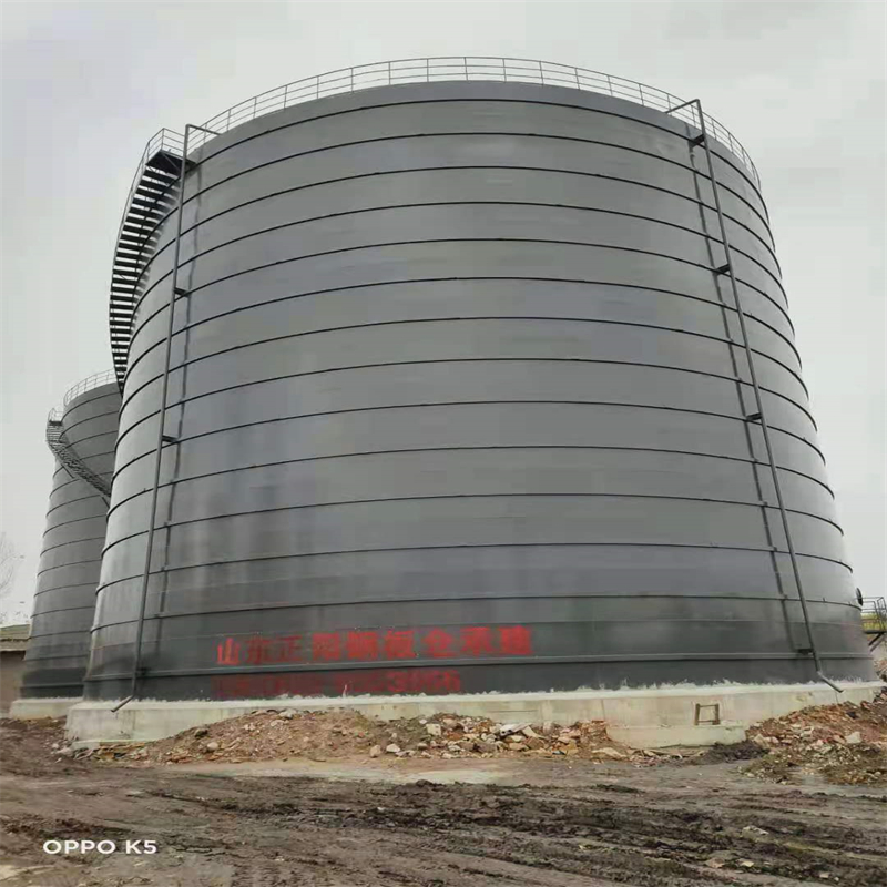 东宝3万吨大型钢板库