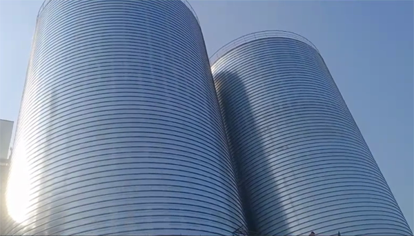 东宝2座混凝土高架卷板仓